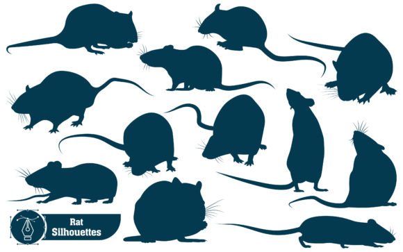 Animal Rat Silhouettes Vector: Graphics & Illustrations for Editorial Impact