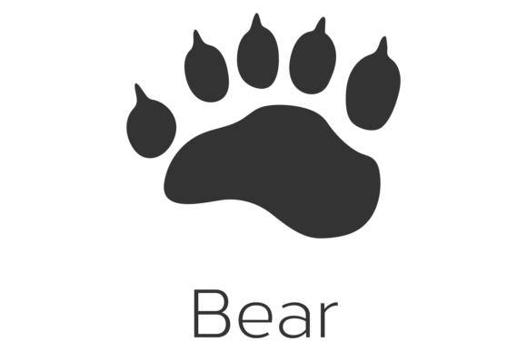 Bear Footprint Graphics: Wild Forest Animal Illustrations