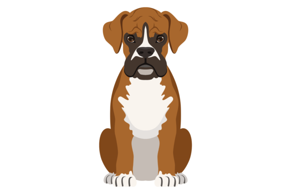 Boxer Dog Graphics: Pet Portrait Illustrations
