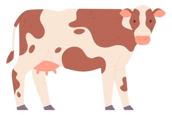 Cow Color Icon Graphics & Illustrations