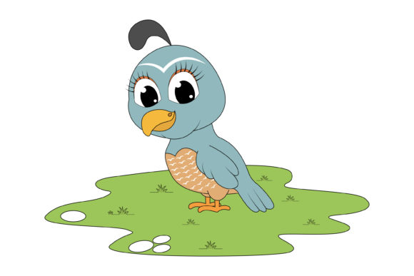 Cute Quail Animal Cartoon: Friendly Illustrations & Versatile Graphics