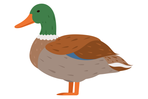 Duck Color Icon: Farm Bird. Wild Animal
