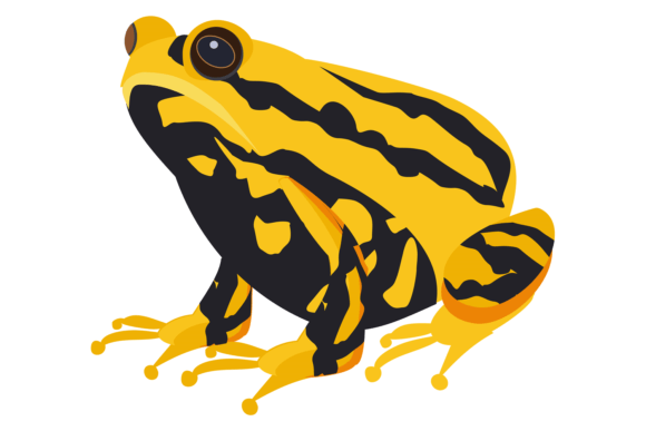 Exotic Toad Graphics: Tropical Illustrations for Local Branding