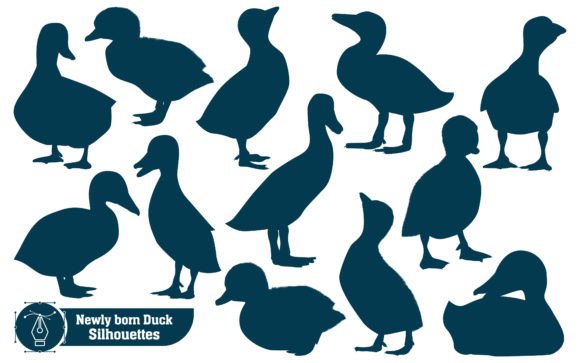 Farm Animal Newly Born Duck Silhouette Graphics & Illustrations