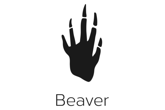 Forest Wild Animal Footprint. Black Beav Graphics