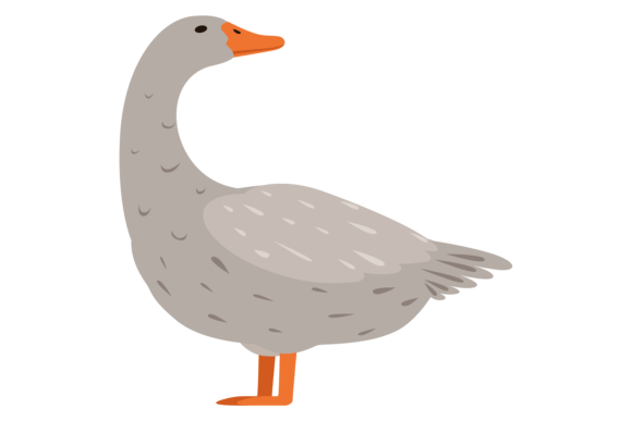 Goose Color Icon: Farm Animal Graphics & Illustrations
