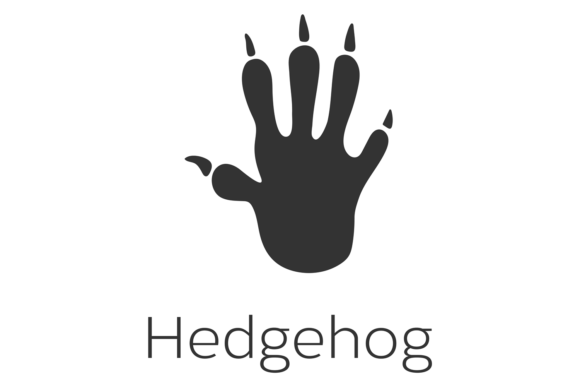 Hedgehog Footprint Graphics & Illustrations