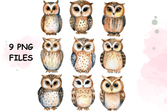 Owl Watercolor Animal Clipart Vol 2