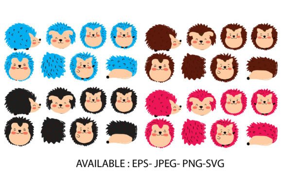 Porcupine Animal Bundles: Graphics & Illustrations for Sellers