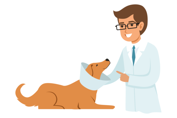 Veterinarian Treat Dog Graphics & Illustrations