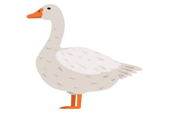 White Farm Goose Graphics & Illustrations